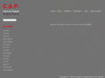 chinaartprojects.com