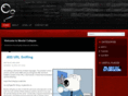 mentalcollapse.com