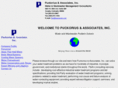 puckorius.com