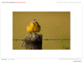 ronwooldridgephotography.com