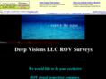 deepvisionsllc.com