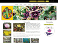 cactusdelsur.com