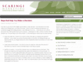 debscaringimarketing.com