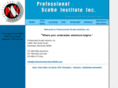 professionalscubainstitute.com