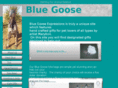 bluegooseexpressions.com