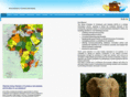 africachamberofcommerceandindustry.com