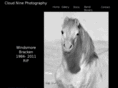 cloud-nine-photography.com