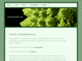 directmarketads.com