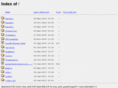 tryoung07.net