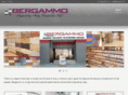 bergammo.com
