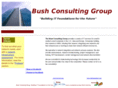 bushconsulting.net