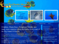 coralreefsnorkeladventures.com