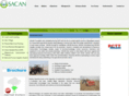 sacanasia.org
