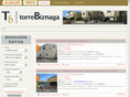 torrebiznaga.com