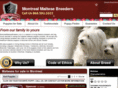 montrealmaltesebreeders.com