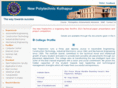 newpolytechnic.com