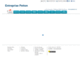 pettonelectricite.com