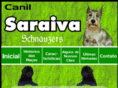 canilsaraiva.com