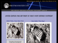 firstmoonstep.com