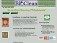 area-rug-cleaning-philadelphia.com