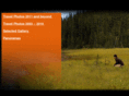 victorthegrizzlybear.com