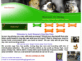 auntshawnasdogdaycare.com