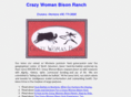 crazywomanbison.com
