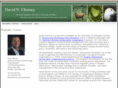 davidcherney.com