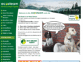 ecosteam.co.uk