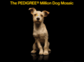 milliondogmosiac.com
