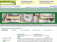 brightfuturesrequirements.com