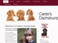 cartersdoxies.com