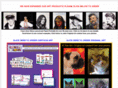 kcfunart.com