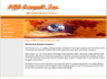 nbsconsultinc.com