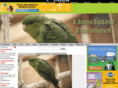 lineolated-parakeet.com