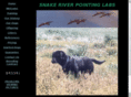 snakeriverpointinglabs.com