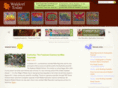 waldorfteachers.com