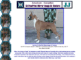 fawnboxer.com