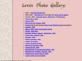 jameslevin.com