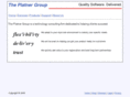 platnergroup.com