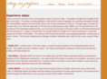 stayinjaipur.com