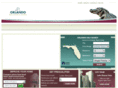 orlandorealestatehomes.com