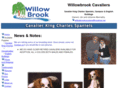 willowbrookcavaliers.com