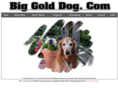 biggolddog.com