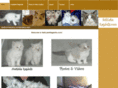 ragamese.com