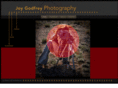 joygodfreyphotography.com