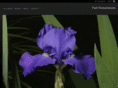 pictflower.com