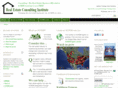 theconsultingtimes.com