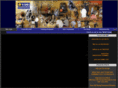 visionaryhoops.com