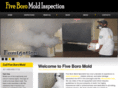 fiveboromoldinspections.com
